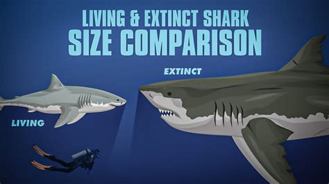 Prehistoric Sharks List