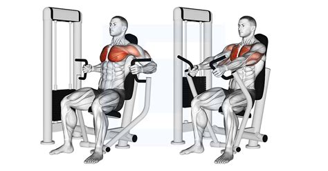 Machine Inner Chest Press - Guide, Benefits, and Form