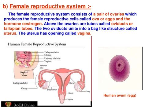 How do organisms reproduce.ppt