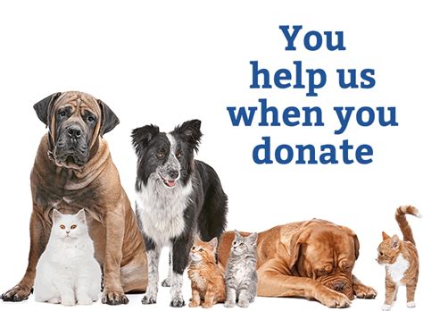 Where To Donate Cats