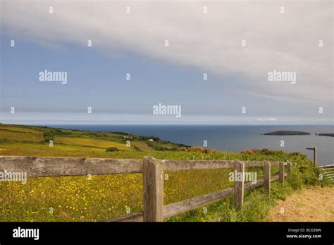 Cardigan Island Pembrokeshire Coastal Path Stock Photo - Alamy