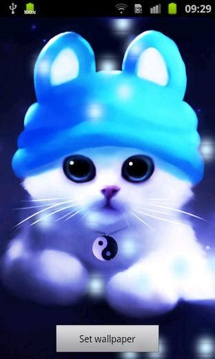 🔥 [50+] Live Cat Wallpapers | WallpaperSafari