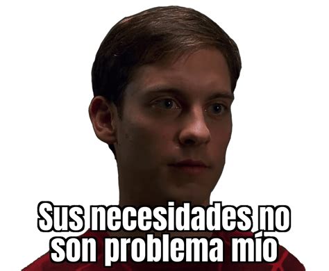 Introducir 42+ imagen meme spiderman tus necesidades no son problema ...