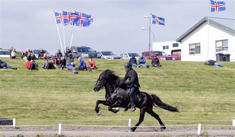 The five gaits of the Icelandic horse