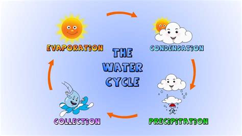 The Water Cycle - Lessons - Blendspace