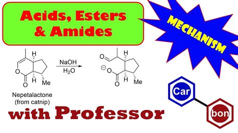 Lactone hydrolysis reaction nepetalactone mechanisms Organic Chemistry ...