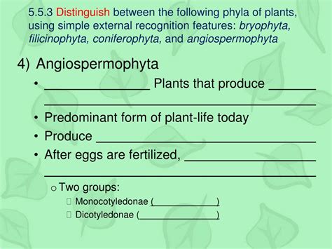 PPT - Plant Classification PowerPoint Presentation, free download - ID ...