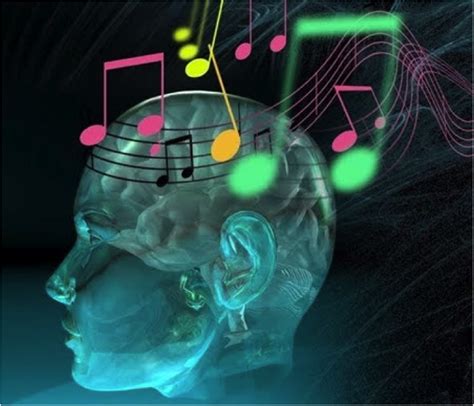 Musique et cerveau ~ Apposcience