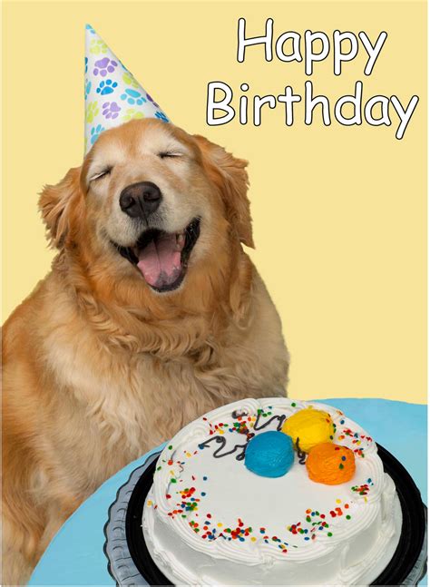 Sweet Dog Wishing Happy Birthday - Wish Birthday – Birthday Wishes ...