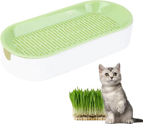 Cat Grass Planter Hydroponic Cat Grass Growing Kit, Catnip Wheatgrass ...