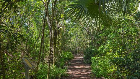 Secret Woods Nature Center | Fort Lauderdale – Florida Hikes