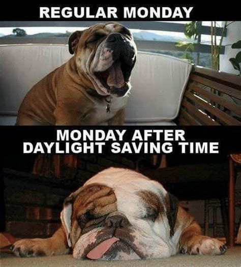 30 Funny Daylight Savings Memes To Spring Forward and Fall Back