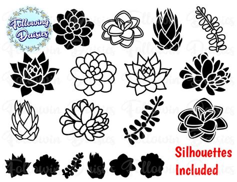 SUCCULENTS En SVG Pack 1, Succulents Silhouettes, Cactus, Plants, Paper ...