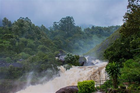 One Day Munnar Sightseeing Trip with Attukad Waterfalls by Cab [Price ...