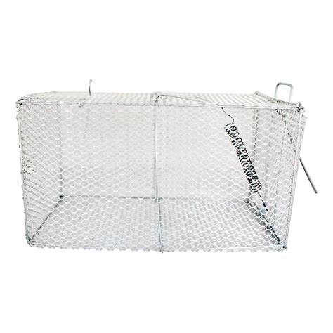 Rat Cage for Home Purpose at Rs 120 in Bhiwandi | ID: 14581351933