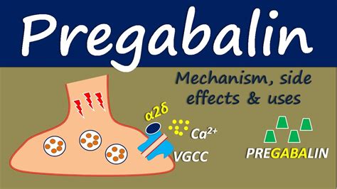 Pregabalin - Mechanism, side effect and uses - YouTube