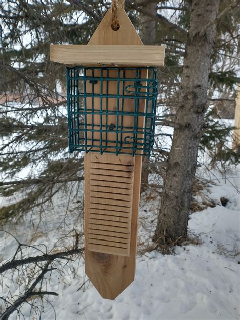 New Single Sided Pileated Woodpecker Suet Feeder With Tail | Etsy