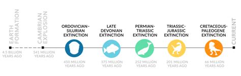 Extinction Events On Earth Timeline - The Earth Images Revimage.Org