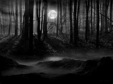 🔥 [30+] Dark Forest With Moon Wallpapers | WallpaperSafari