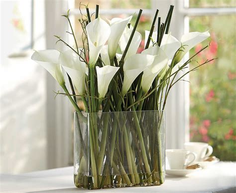 Bloom White Calla Lily Arrangement Slender Stems Green Bamboo Shoots ...