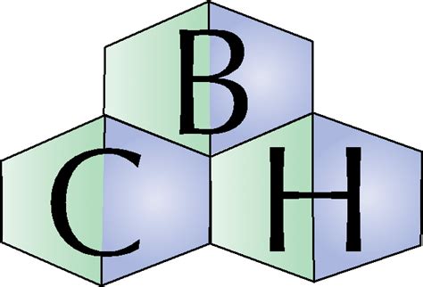 CBH Logo | New England Psychologist