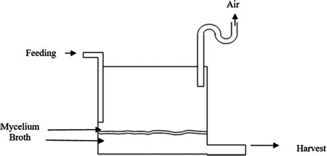 System designed with natural air circulation. | Download Scientific Diagram