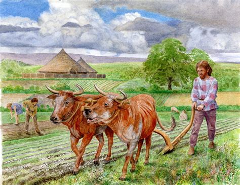 Iron Age farming | Iron age, Historical period, Middle ages