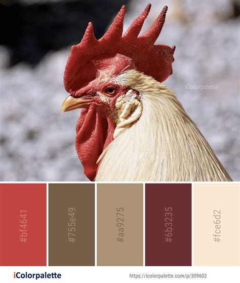 Color Palette ideas #icolorpalette #colors #inspiration #graphics # ...