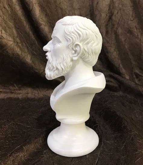 Bust of Plato Marble Sculpture | Statue.com