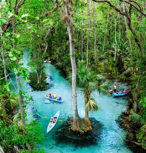 Kings Landing Florida: Kayaking Crystal Clear Emerald Cut - Florida ...