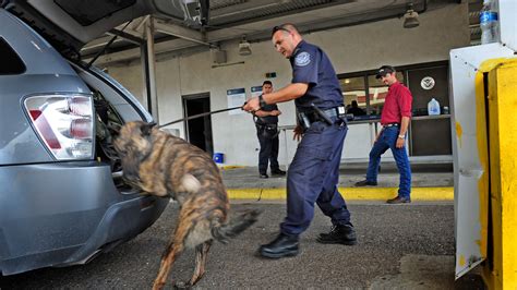 How Do Police Train Drug Dogs