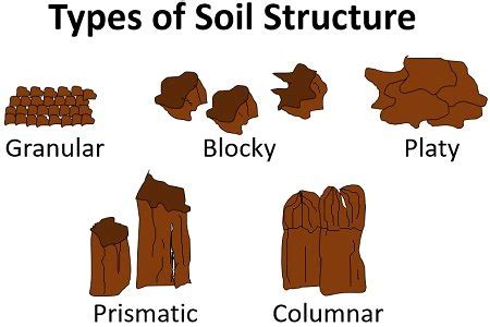 Soil Structure and Texture - Definition, Types and Importance - Biology ...