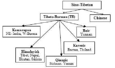 Sino-Tibetan Language Tree | Download Scientific Diagram