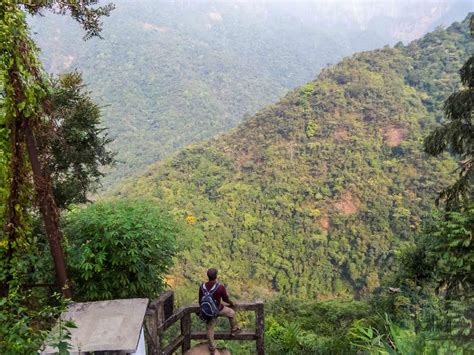 Exploring the Living Root Bridge , Meghalaya - Roaming owls