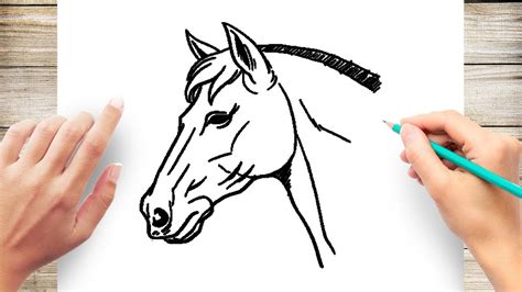 Easy Simple Horse Head Drawing