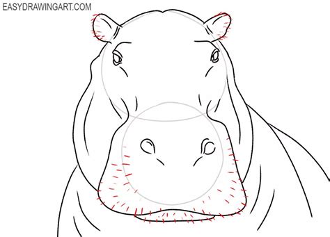 Discover 166+ hippo drawing for kids - seven.edu.vn