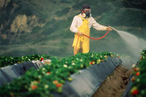 Potential Hazards of Pesticides, Fertilizers in Farm Food | Financial ...