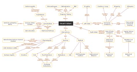 Biology Concept Map Complete Guide with 30+ Examples | EdrawMind