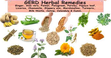 GERD Herbal Remedies | Herbal Remedies for Heartburn