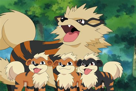 Growlithe Arcanine by NerdSolitaria on DeviantArt