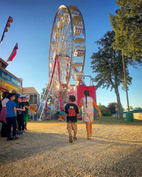 Calaveras County Fair & Jumping Frog Jubilee: Classic family fun