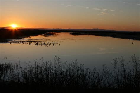 Tulare Lake Basin - Water Education Foundation