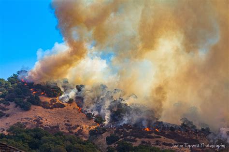 Ask the Naturalist | Bay Area Vulnerability to Wildfires - Bay Nature