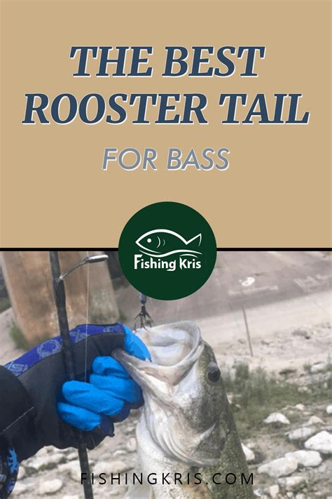 Why Rooster tails are good for bass fishing? #fishing #fishingkris Bass ...