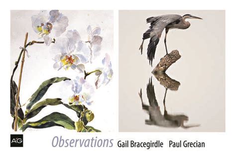 Observations | Artists' Gallery, Lambertville, NJ