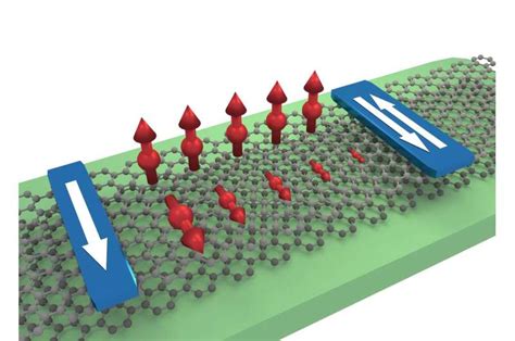 Graphene bilayer provides efficient transport and control of spins