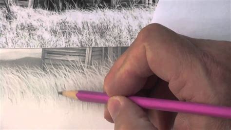 Grass Drawing Pencil