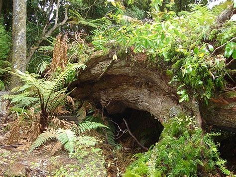 Wilderness Shelters from around the world