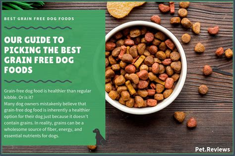 10 Best Grain Free Dog Foods with our Most Affordable Pick