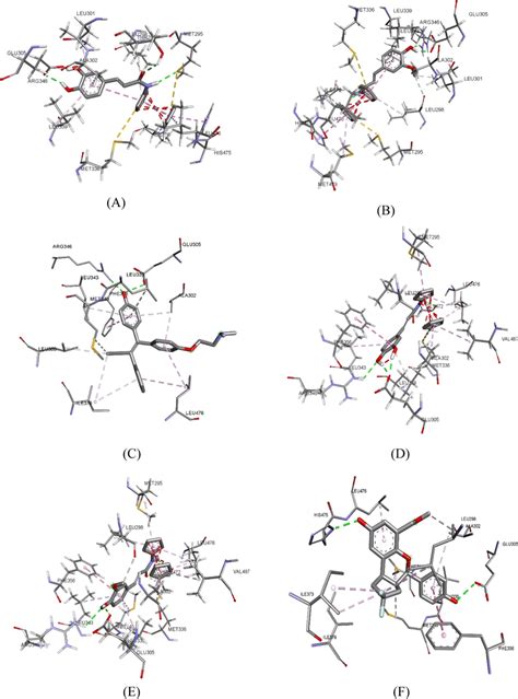 Stereo view of the binding mode of Fc-CA and Fc-FA in the binding site ...